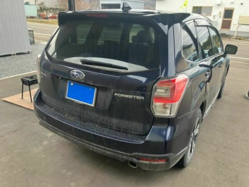 FORESTER