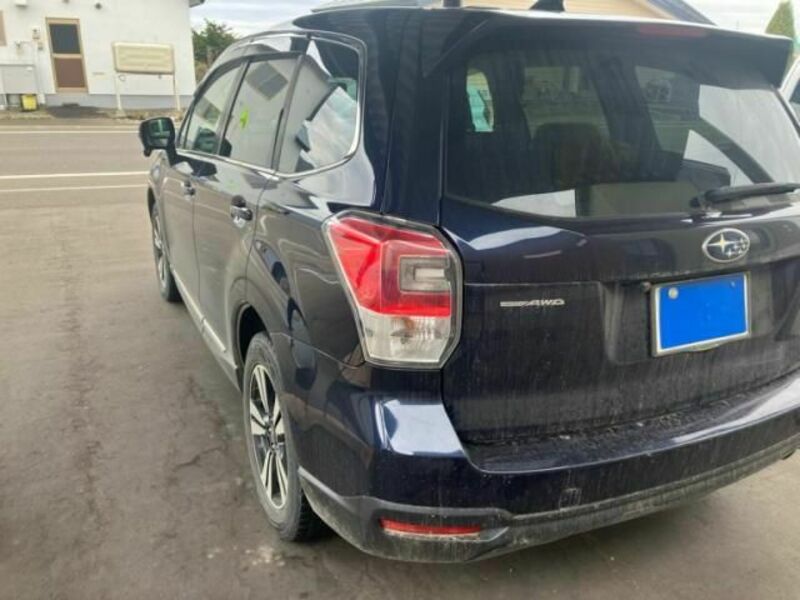 FORESTER
