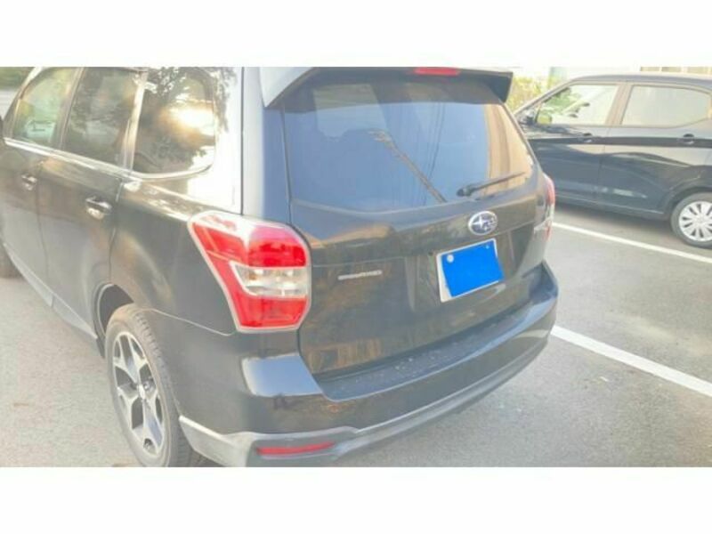 FORESTER-1