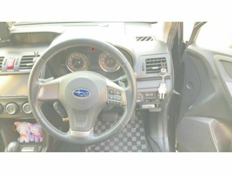 FORESTER-5