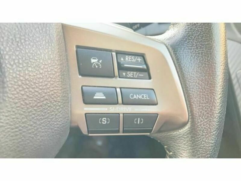 FORESTER-10