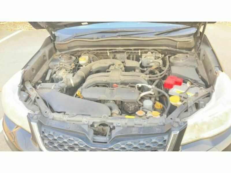 FORESTER-18