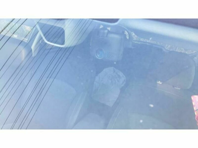 FORESTER-19