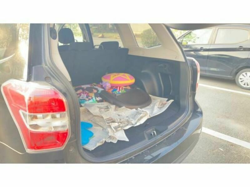 FORESTER-20