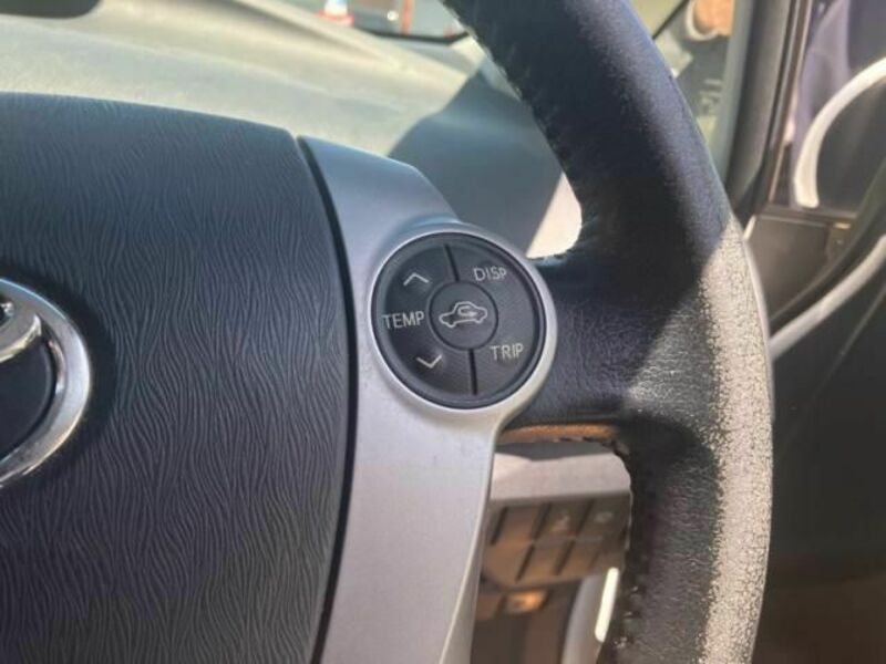 PRIUS-21