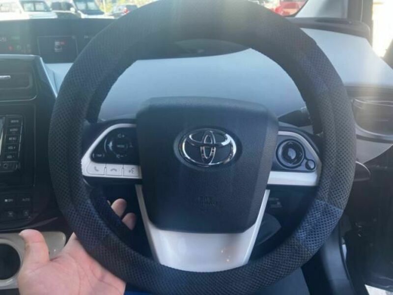 PRIUS-16
