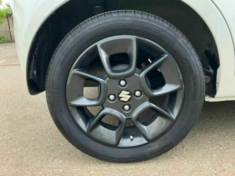 IGNIS
