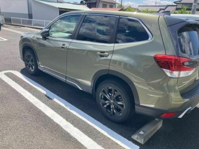 FORESTER