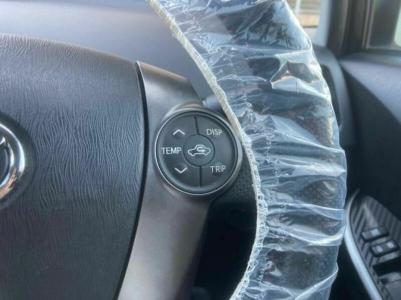 PRIUS-19