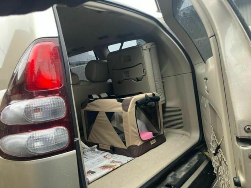 LAND CRUISER PRADO-13