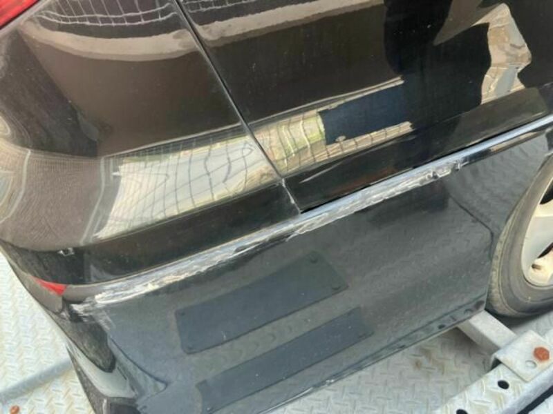 ALPHARD-10