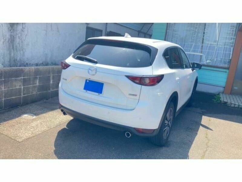 CX-5-3