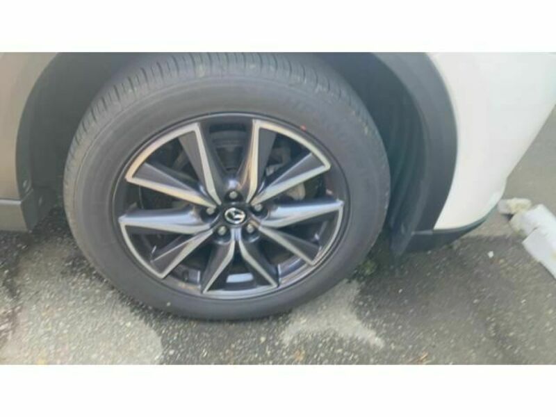 CX-5-6