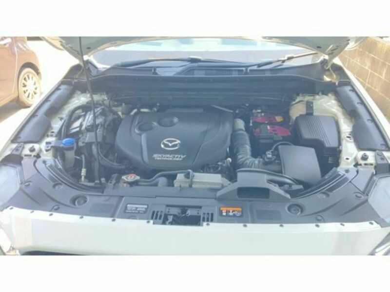 CX-5-7
