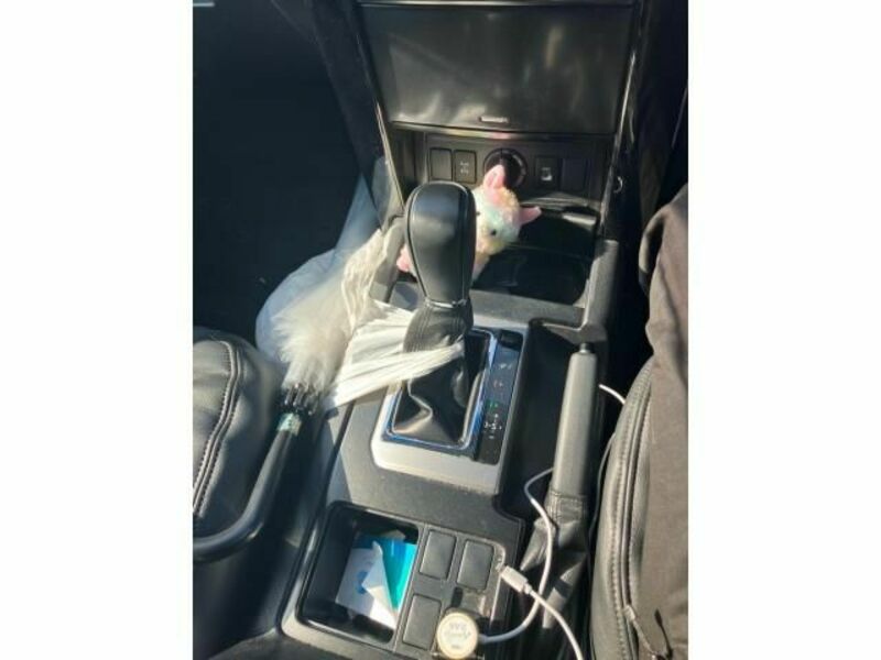 LAND CRUISER PRADO-22