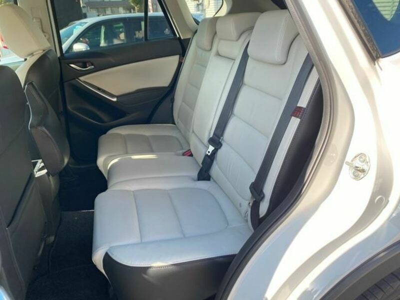 CX-5-19