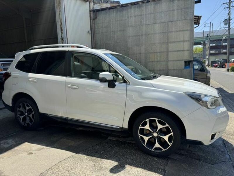 FORESTER
