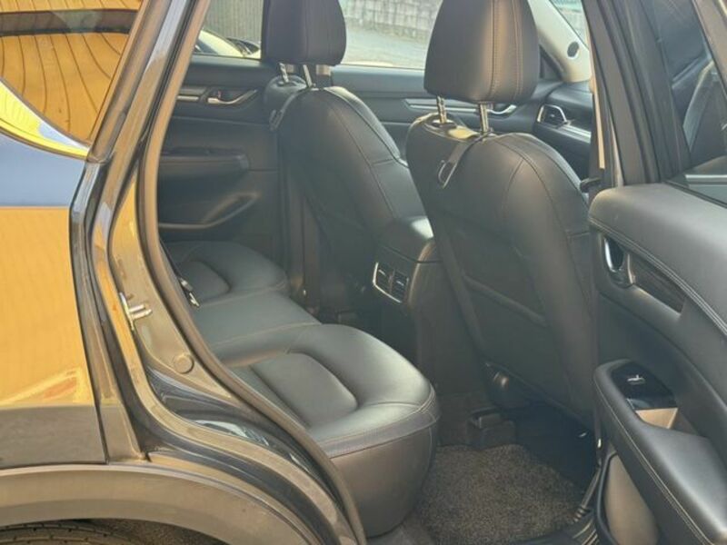 CX-5-29