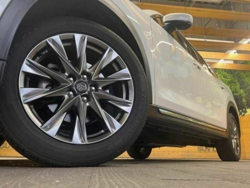CX-8