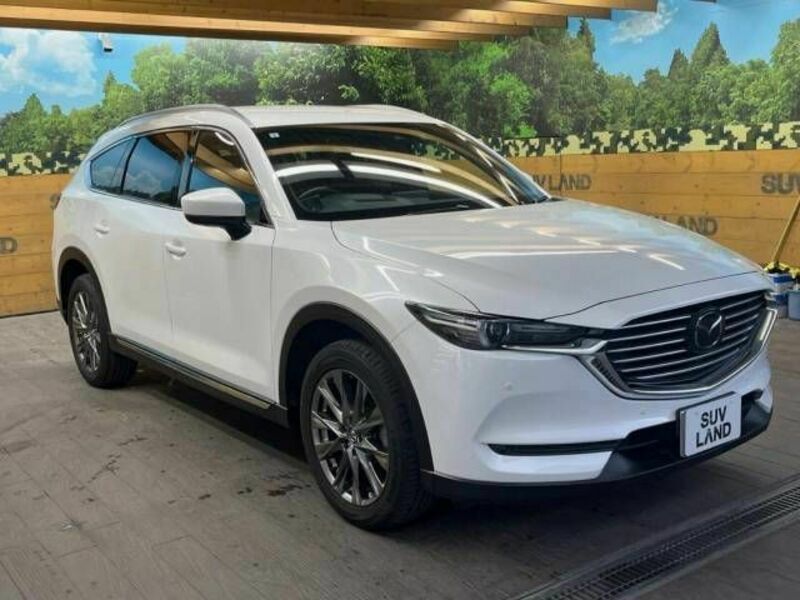 CX-8