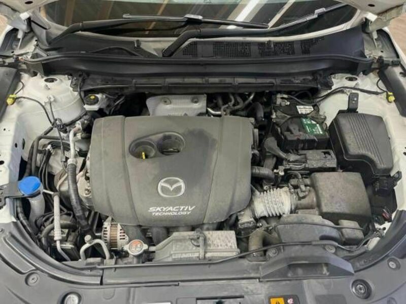 CX-8