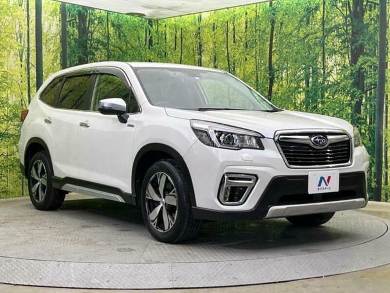 FORESTER-15