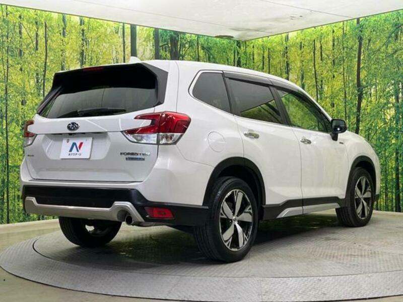 FORESTER-16