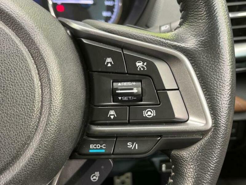 FORESTER-6
