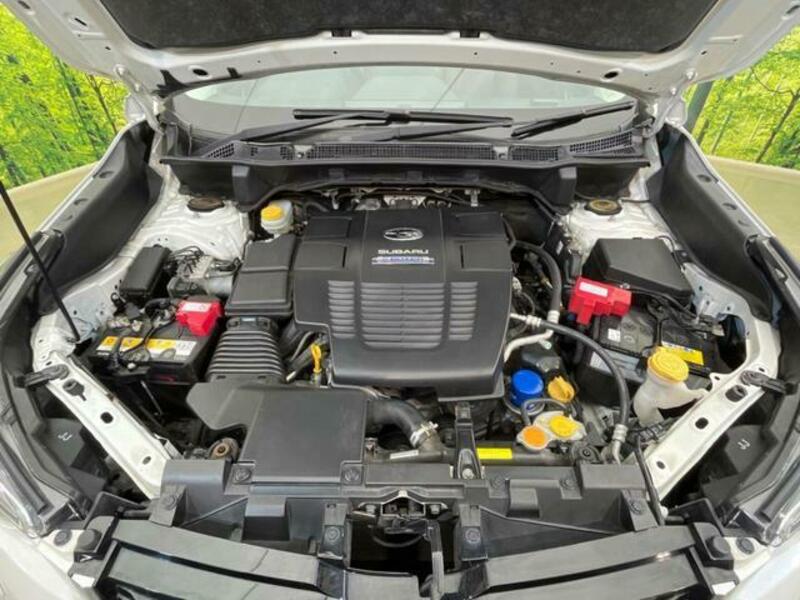 FORESTER-17