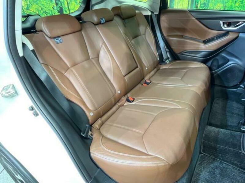 FORESTER-9