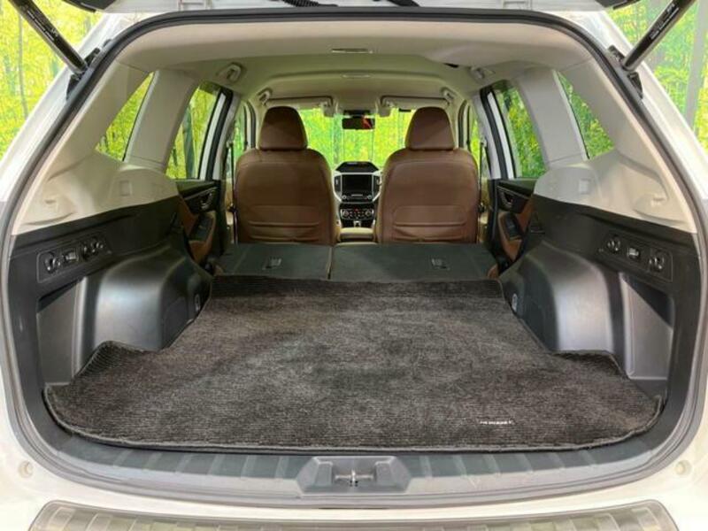 FORESTER-10