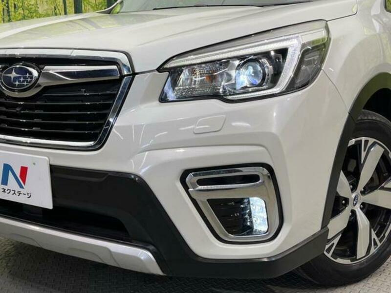 FORESTER-11