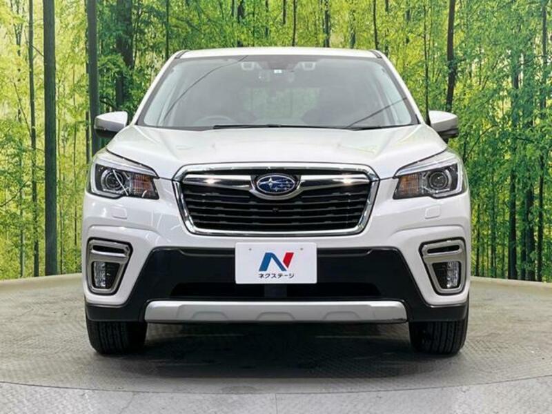 FORESTER-13