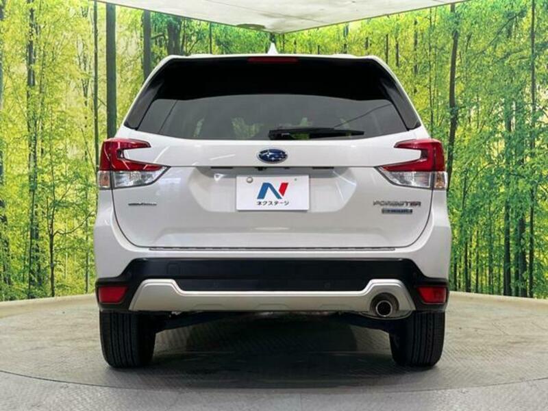 FORESTER-14