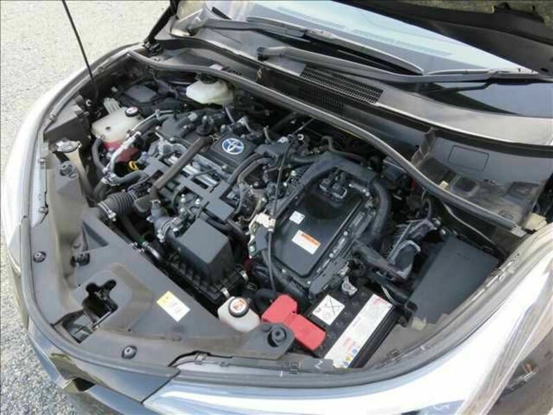 C-HR-19