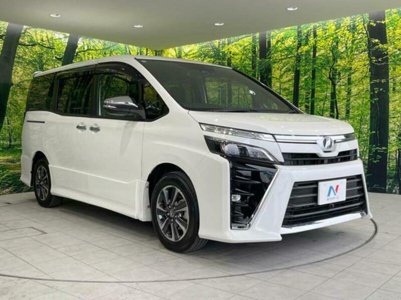 VOXY-17