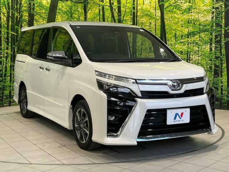 VOXY-15