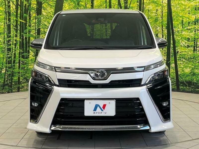 VOXY-13
