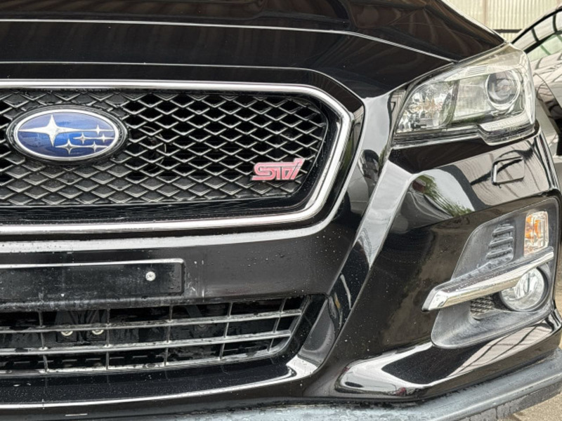 LEVORG
