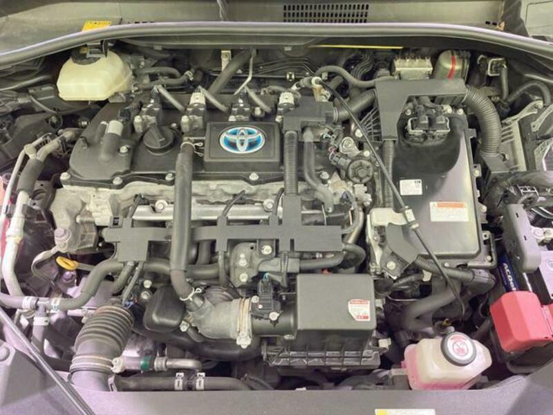 C-HR-17