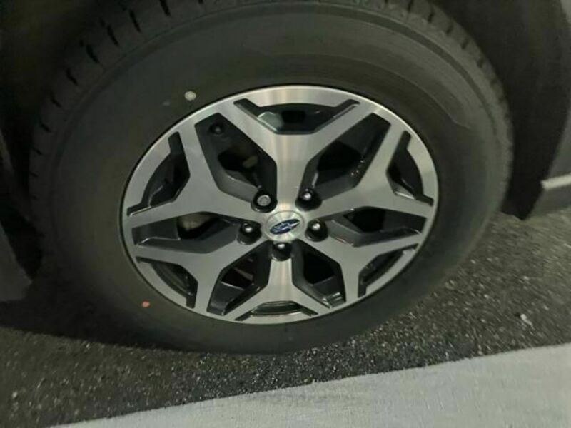FORESTER-4