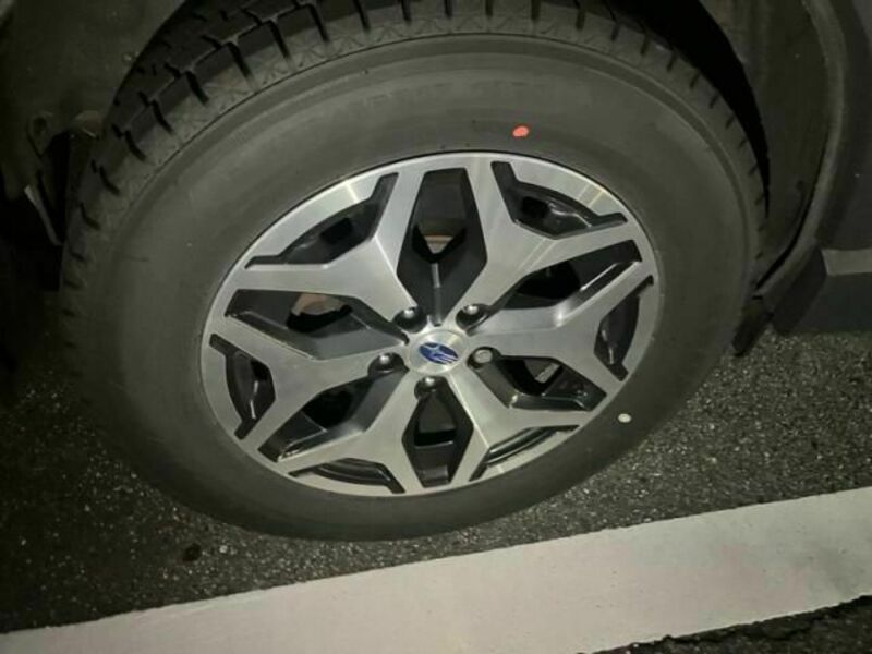 FORESTER-5