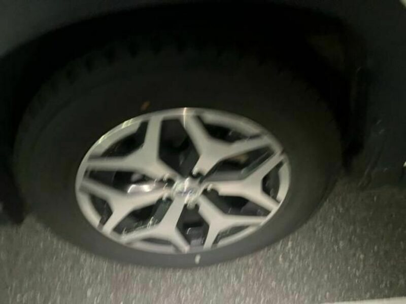 FORESTER-7