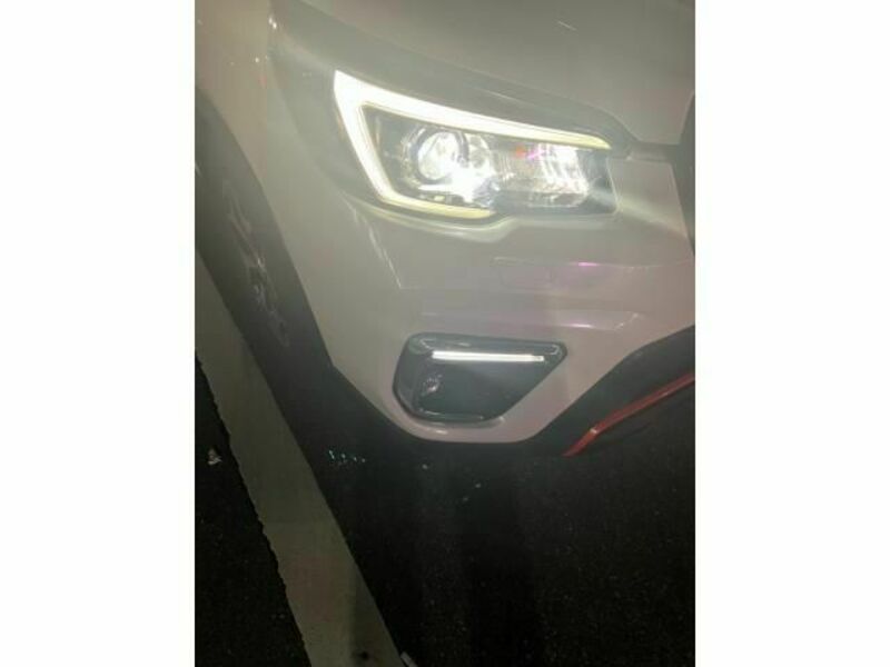 FORESTER-24