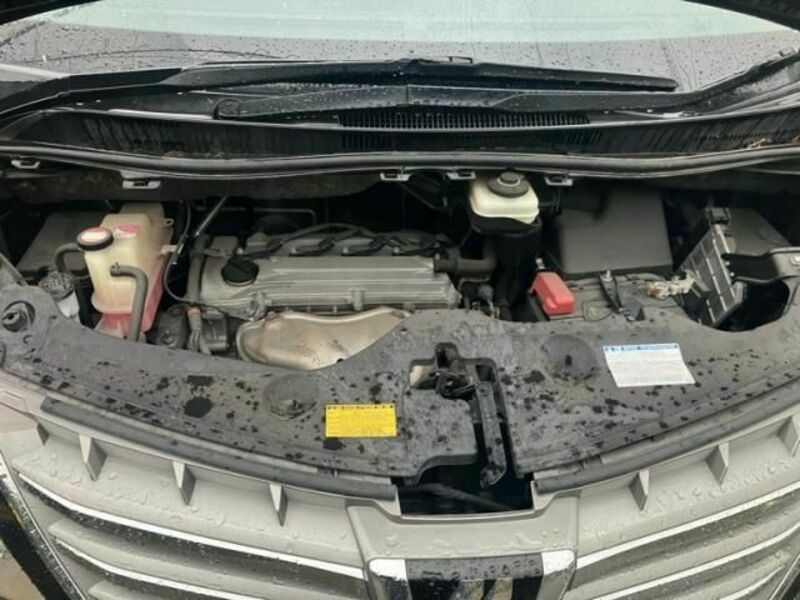 ALPHARD-11
