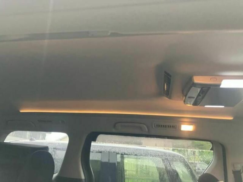 ALPHARD-18