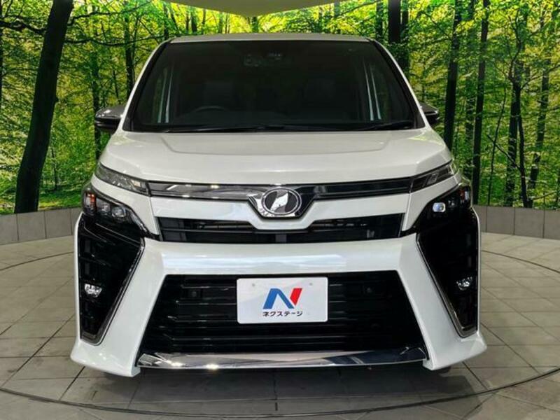 VOXY-14