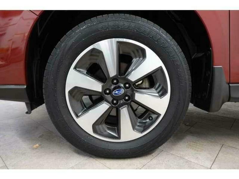 FORESTER-16