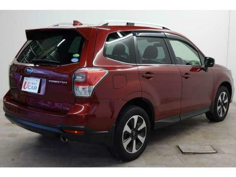 FORESTER-7