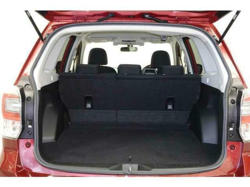 FORESTER-8